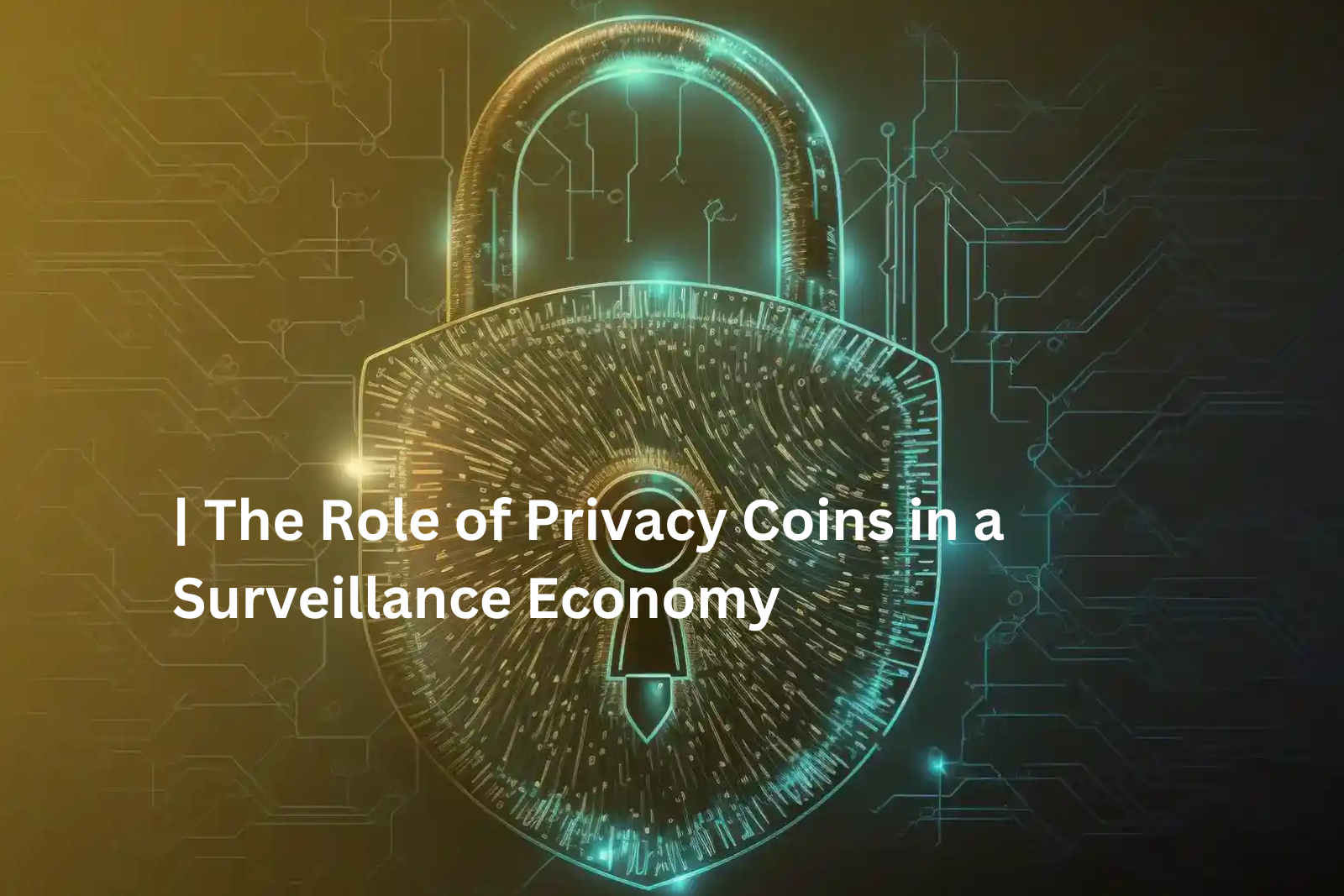 Privacy Coins