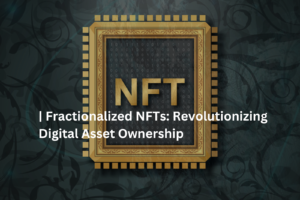 Fractionalized NFT