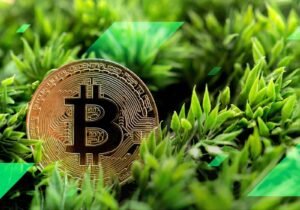 Green Crypto: Planet-Saving Blockchain Cash?