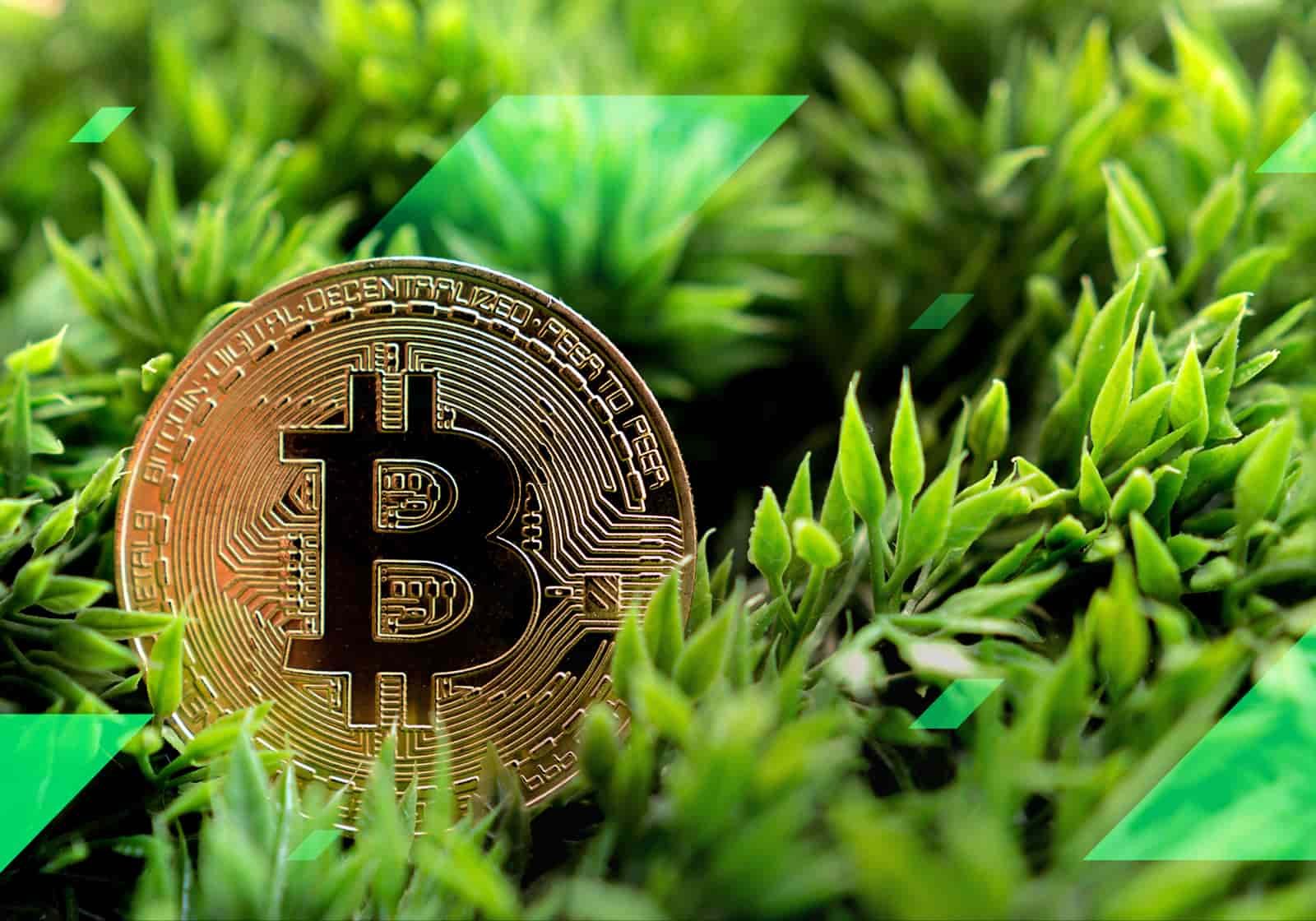 Green Crypto